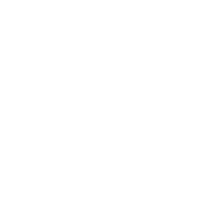 Logo - Aspioneer-10-Supply-Chain-Award