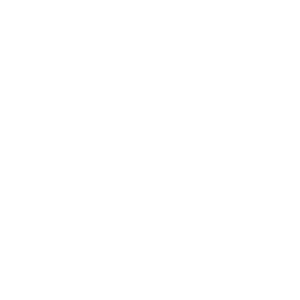 Logo - RegAsia2020