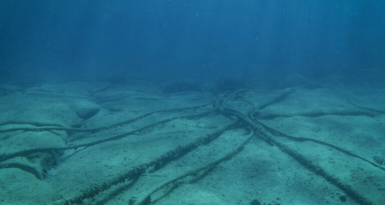 Exiger_78.1-Uncovering_Foreign_Ownership_and_Influence_Risks_in_Undersea_Cables