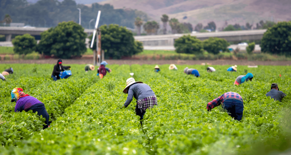 Understanding the Role of AI in Combating Forced Labor in Supply Chains