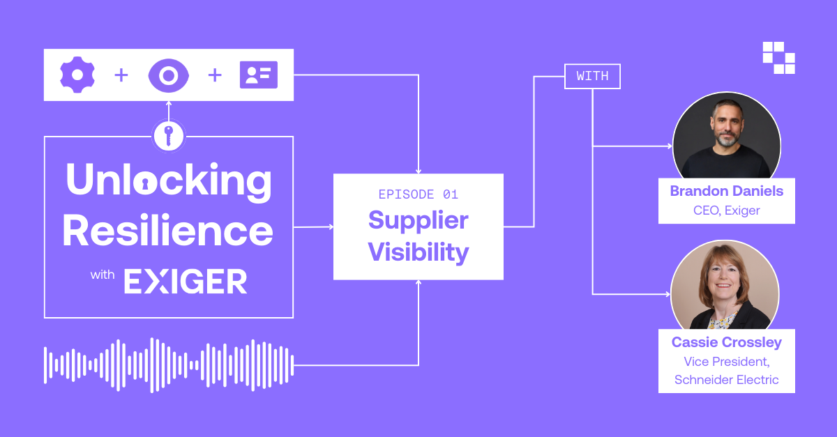 Unlocking Resilience - Supplier Visibility