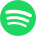 spotify_icon